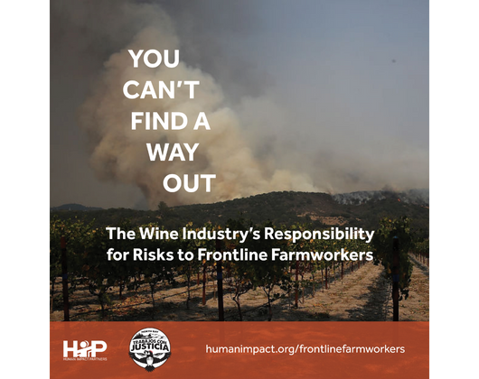 “You Can’t Find a Way Out”: The Wine Industry’s Responsibility for Risks to Frontline Farmworkers